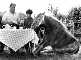 Pferd sitzt mit Familie am Tisch