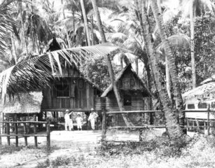 Holzhaus im Dschungel
