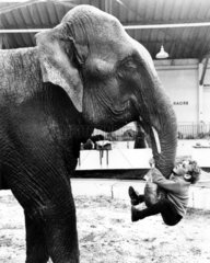 Junge haengt an Elefantenruessel