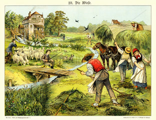 Die Wiese  Illustration  1885
