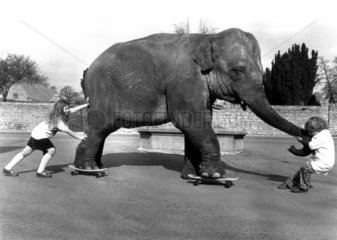 Zwei Maedchen mit Elefant