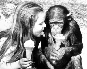 Schimpanse und Kind essen Eis