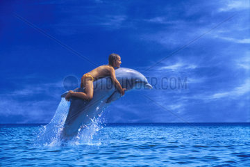 Junge auf Delphin