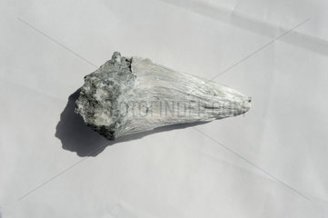 Asbest-Mineral mit der typischen Faserstruktur.