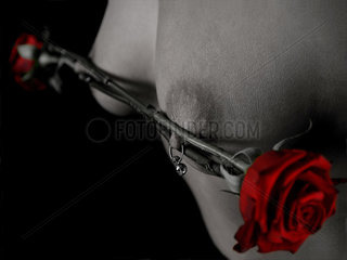 Rose auf einer Brustwarze