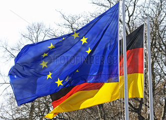 EU und deutsche Flagge