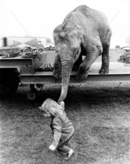 Maedchen zieht Elefant am Ruessel