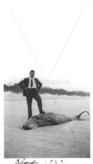 Mann posiert neben totem Dugong - Seekuh