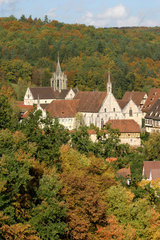 Das reizvolle Ortsbild von Bebenhausen wird gepraegt durch die 1187 gegruendete ehemalige Zisterzienserabtei.