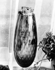 Eichhoernchen lugt aus der Vase