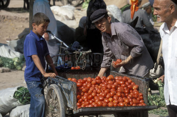 Tomatenhaendler auf einem Markt