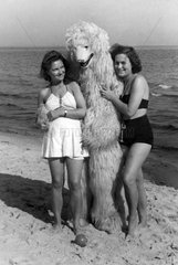 Zwei Frauen posieren mit Eisbaer am Strand