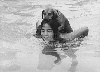 Hund beim Huckepack Schwimmen