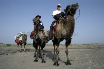 Touristen auf Kamelen