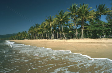 Palmenstrand in Australien