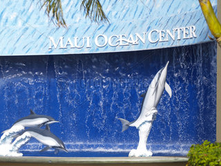 Maui Ocean center