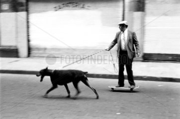 Hund zieht Mann auf Skateboard