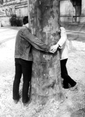 Kuss hinterm Baum