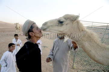Mann schaut Kamel tief in die Augen
