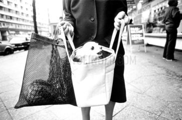 Frau mit Hund in der Einkaufstasche
