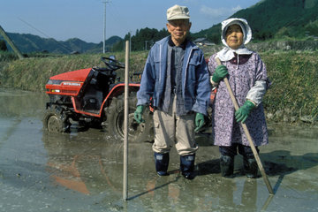 Bauernpaar beim Reisanbau