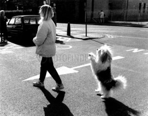 Hund mit Frau auf Parkplatz