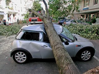 Ein vom Baum zertruemmertes Auto