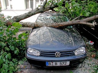 umgestuerzter Baum liegt auf beschaedigtem Auto