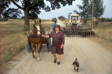 Baeuerin mit Kutsche auf Dorfstrasse