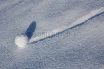 Schneeball rollt im Schnee