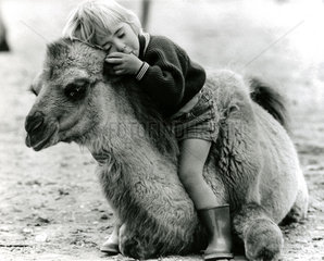 Kind schlaeft auf Kamel