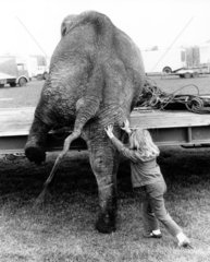 Maedchen schiebt Elefant