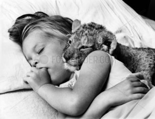 Kind liegt mit Loewenbaby im Bett