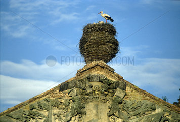 Storchennest auf dem Dach eines Schlosses