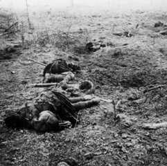 Leichen auf dem Schlachtfeld  gefallene Schotten  1.Weltkrieg