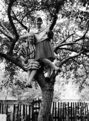 2 Maedchen im Baum  2 girls in a tree  1950