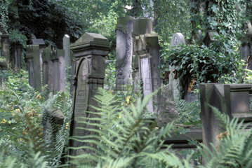 Juedischer Friedhof in Breslau