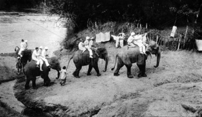Touristen werden von Elefanten getragen