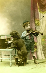 Hund und Junge musizieren