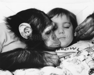 Schimpanse kuesst Kind