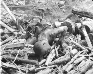 Zweiter Weltkrieg  Leiche auf einem Holzstapel
