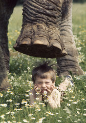 Kind unter Elefantenfuss
