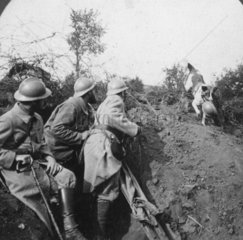 Soldaten im Schuetzengraben  Hund bringt Helm  Erster Weltkrieg