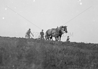 Bauern bei der Feldarbeit mit Pferdepflug