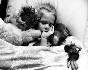 Maedchen liegt mit Schimpansen und Puppe im Bett