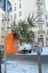 Weihnachtsbaum im Muelleimer
