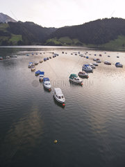 Spielzeugboote auf einem See