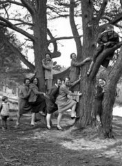 Frauen klettern auf Baum