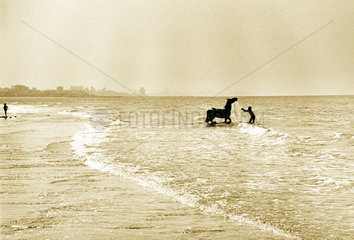Indien - Mensch und Pferd im Wasser