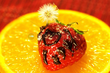 Erdbeere mit Schockolade